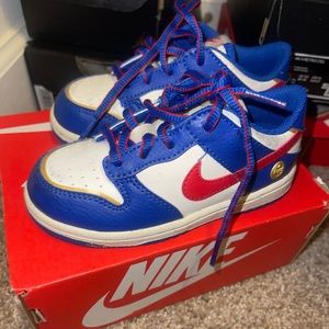 Nike Dunks Toddler
